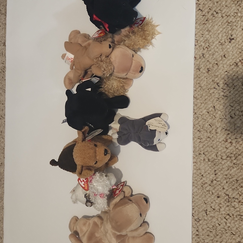 Ty Beanie Baby Dog Lot Fetch, Poochie Poo, Tuffy, Luke, Nook, Gigi, Spunky